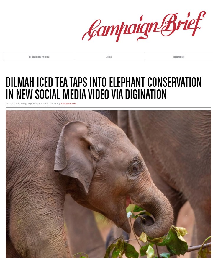 Baby Dilmah